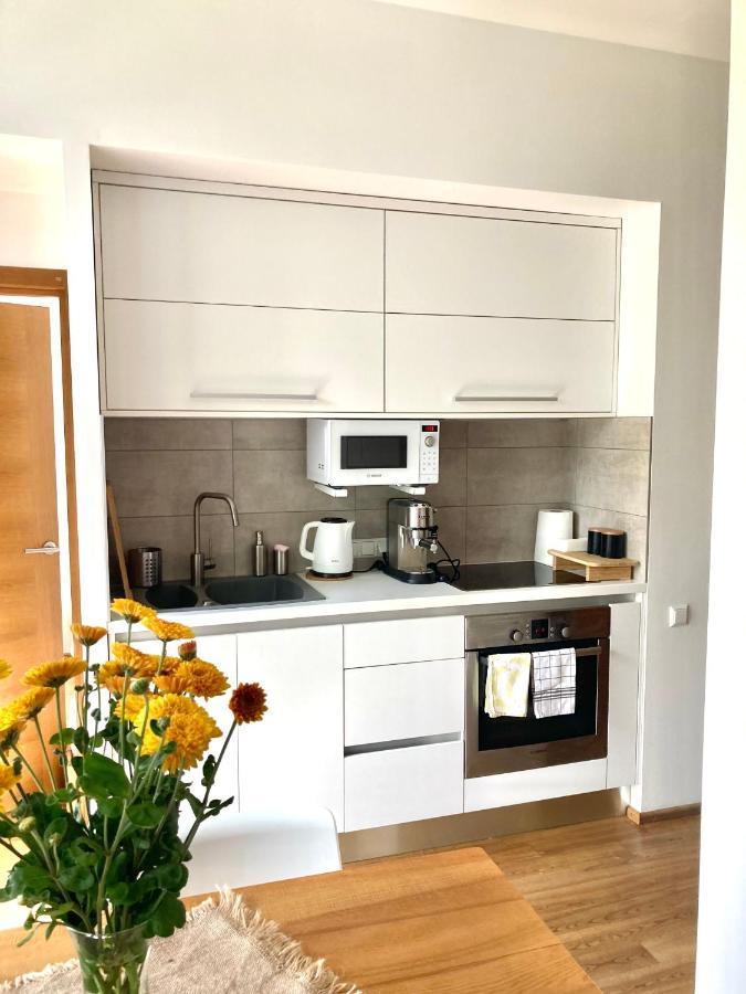 Apartment Dzelzavas 19/3 Ρίγα Εξωτερικό φωτογραφία